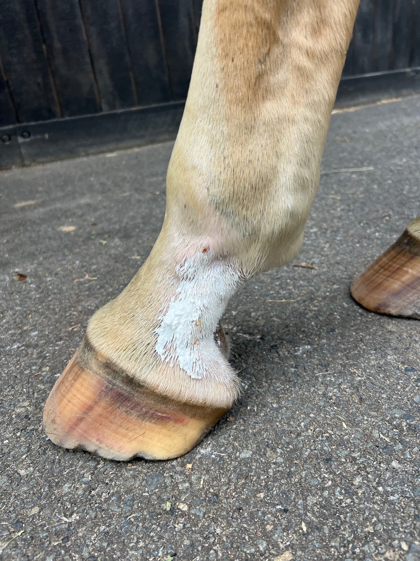 ZincAid 100g - Out Of Stock