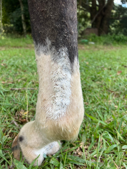 ZincAid 100g - Out Of Stock